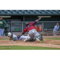 Kansas City Monarchs catcher Alexis Olmeda tags out Donivan Willians of the Gary SouthShore RailCats