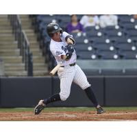 Tampa Tarpons second baseman Ben Cowles