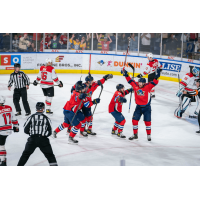 Springfield Thunderbirds react after James Neal's late goal