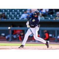 Erick Peña of the Columbia Fireflies