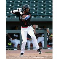 Daniel Vazquez of the Columbia Fireflies