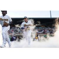 Charleston RiverDogs outfielder Dru Baker