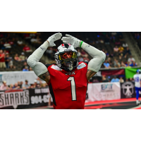 Jacksonville Sharks wide receiver Devin Wilson