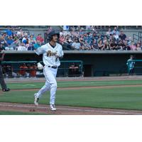 Charleston RiverDogs outfielder Shane Sasaki