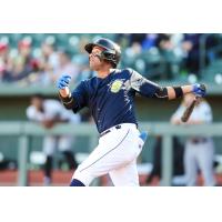 Rubendy Jaquez of the Columbia Fireflies