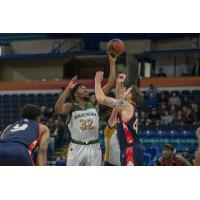 Saskatchewan Rattlers tip off against the Fraser Valley Bandits