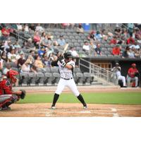 Miguel Palma of the Fayetteville Woodpeckers