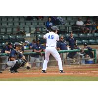 Evansville Otters infielder Zach Biermann