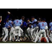 Pensacola Blue Wahoos celebrate a walk-off win