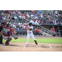 Fayetteville Woodpeckers outfielder Kenedy Corona