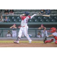 Matt Adams hits one of his two home runs for the Kansas City Monarchs