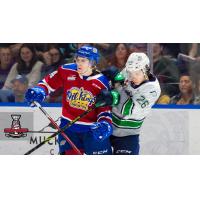 Edmonton Oil Kings battle the Seattle Thunderbirds