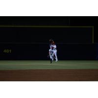 Rome Braves celebrate in the field