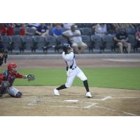 Justin Williams at bat for the Fayetteville Woodpeckers