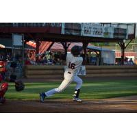 Wisconsin Rapids Rafters shortstop Ben Ross