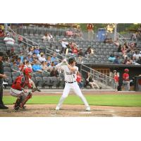 Fayetteville Woodpeckers outfielder Logan Cerny