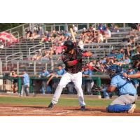 Fargo-Moorhead RedHawks infielder Drew Ward