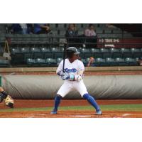 Evansville Otters infielder Gary Mattis