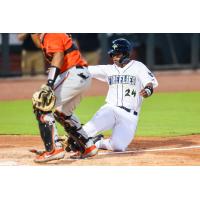 Felix Familia slides home for the Columbia Fireflies