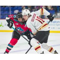 Vancouver Giants forward Zack Ostapchuk