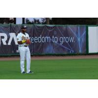 Charleston RiverDogs in the outfield