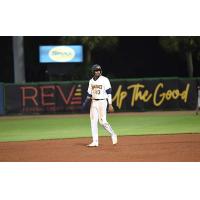 Charleston RiverDogs infielder Willy Vasquez