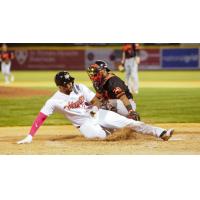 Tri-City ValleyCats outfielder Willy Garcia slides home
