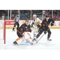 Lehigh Valley Phantoms goaltender Felix Sandstrom