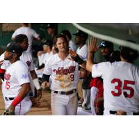 Tri-City ValleyCats exchange congratulations in the dugout