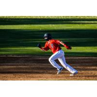 Brady Prewitt of the St. Cloud Rox