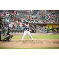 Fayetteville Woodpeckers catcher Miguel Palma