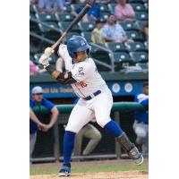 Gian Martellini at bat for the New York Boulders