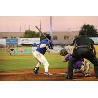 Evansville Otters await a pitch