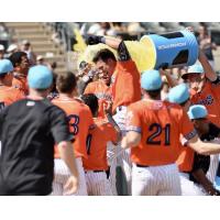 Somerset Patriots douse Anthony Volpe after his walk-off home run