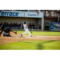 Ryan Jackson of the St. Cloud Rox