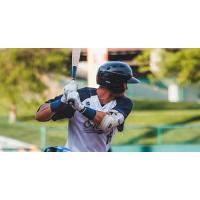 Lincoln Saltdogs outfielder Welington Dotel at bat