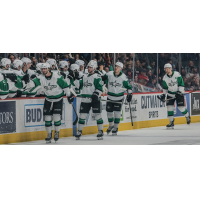 Texas Stars offer congratulations along the bench