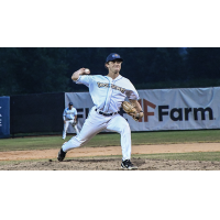 Fond du Lac Dock Spiders pitcher Reed Gallant