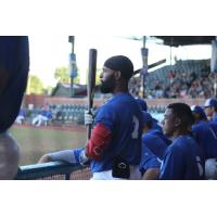 Evansville Otters infielder J.R. Davis watches the action