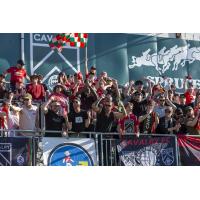 Cavalry FC fans cheer on the team