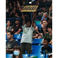 Saskatchewan Rattlers fan cheers on the team