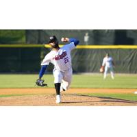 Tri-City, ValleyCats outfielder Jordan Brewer