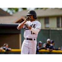 North Colorado Owlz' Cameron Phelts