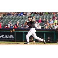 Tri-City ValleyCats catcher Jonah Girand