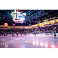 Texas Stars on the ice at Cedar Park