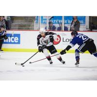 Vancouver Giants centre Ty Halaburda