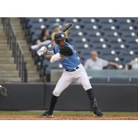 Tampa Tarpons at bat