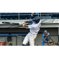 Fond Du Lac Dock Spiders at bat