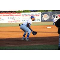 Evansville Otters on the field