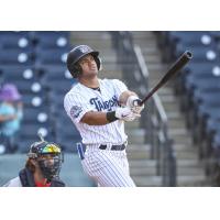 Tampa Tarpons' Jasson Dominguez delivers lead-off  home run